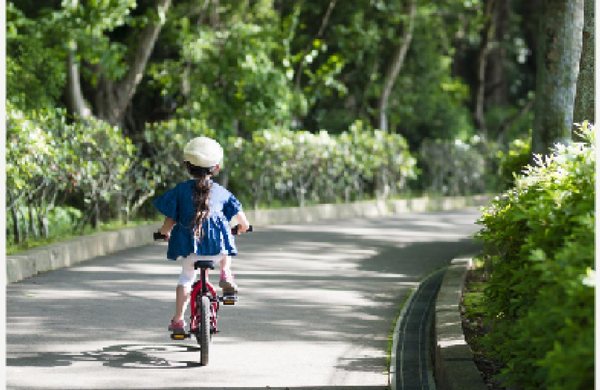 Jogging Track